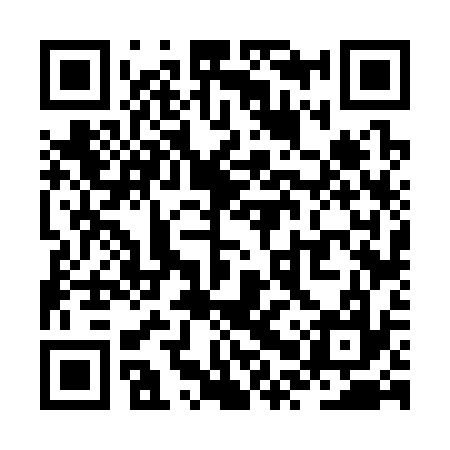 QR code for ZPV337