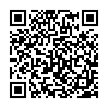 QR code for ZQL993