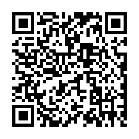 QR code for ZS600