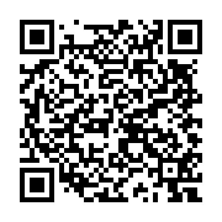 QR code for ZSDN11