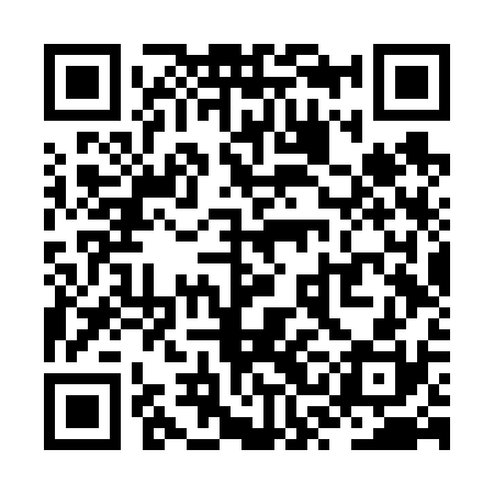 QR code for ZSFV30