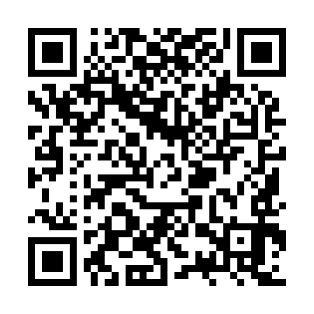 QR code for ZSY993