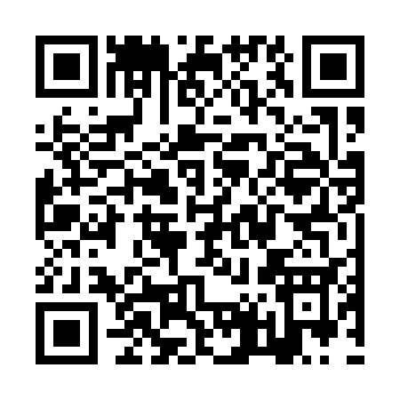 QR code for ZT613