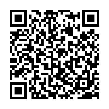 QR code for ZTN413