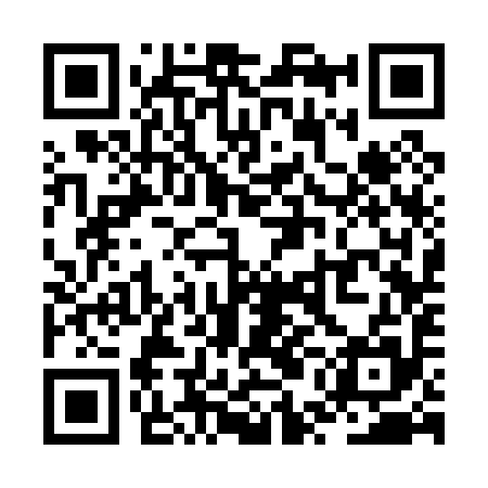 QR code for ZUC095