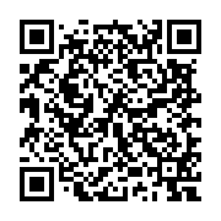QR code for ZUUM91