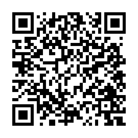 QR code for ZV226