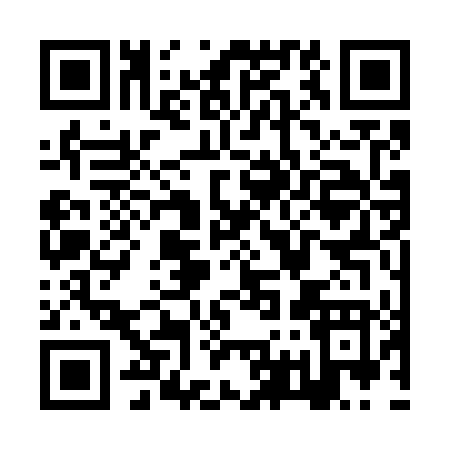 QR code for ZW374