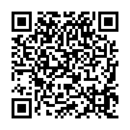 QR code for ZW951