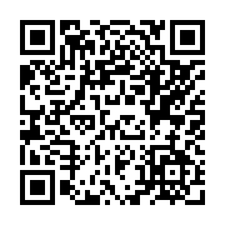 QR code for ZX981