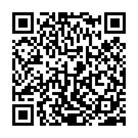 QR code for ZXTD51