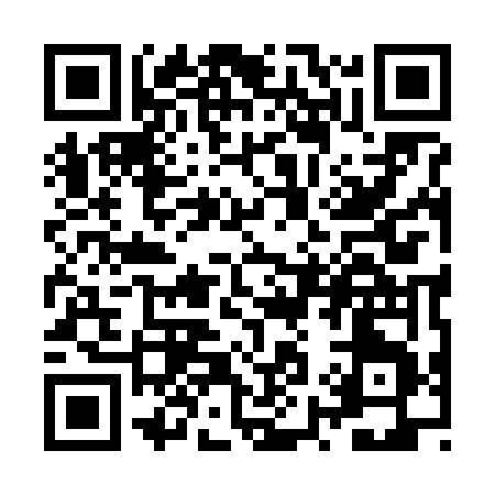 QR code for ZY966