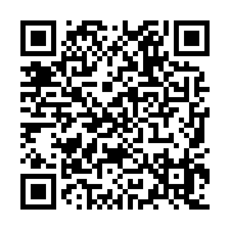 QR code for ZY980