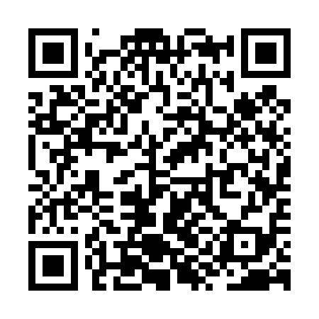 QR code for ZYC419
