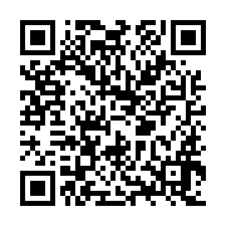 QR code for ZYIE96