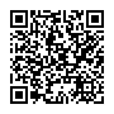 QR code for ZYP339