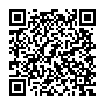 QR code for ZYP541