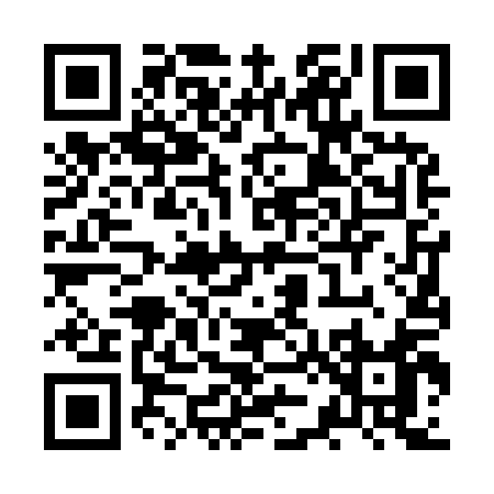 QR code for ZZ691
