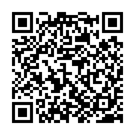 QR code for ZZG790