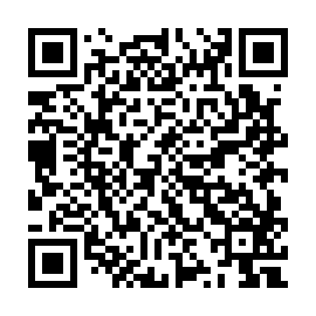 QR code for ZZMA86