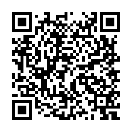 QR code for ZZZ951