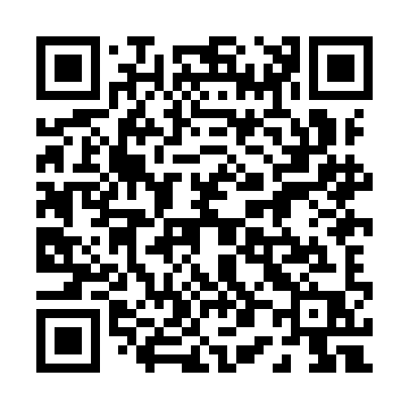 QR code for 008IIP