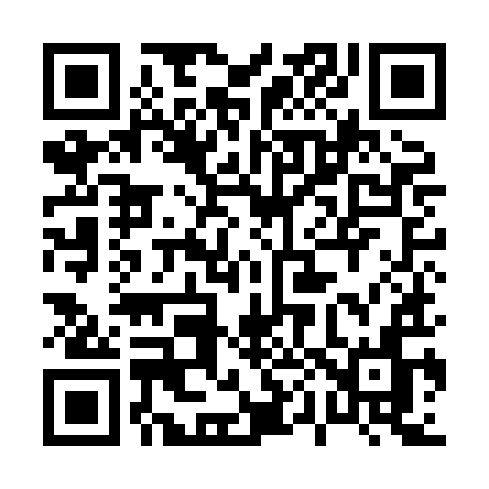 QR code for 009HIN
