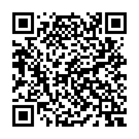 QR code for 010GUI