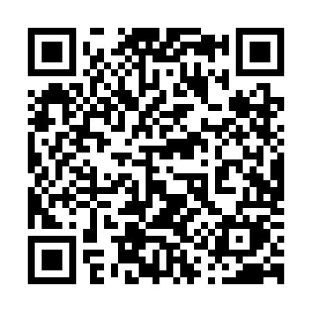 QR code for 010SOM