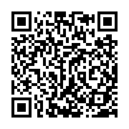 QR code for 020WPI