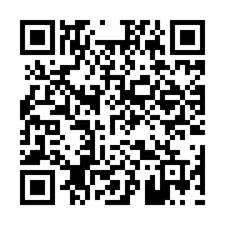 QR code for 038IFU