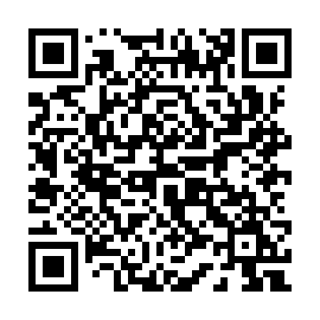 QR code for 038IVM
