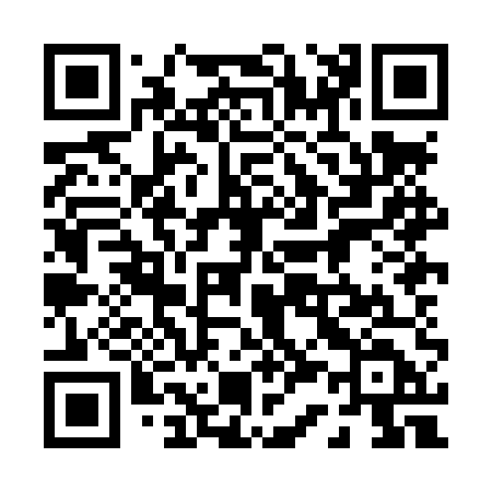QR code for 038LUD