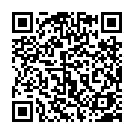 QR code for 038SCA
