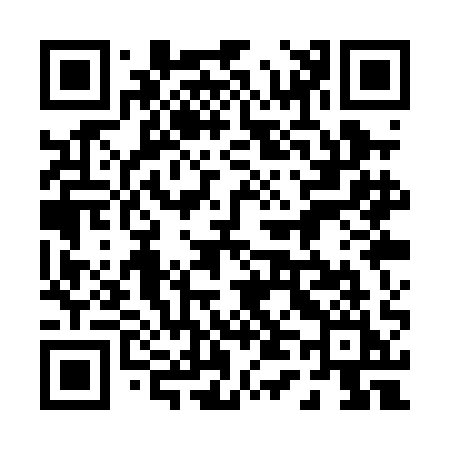 QR code for 041PAI