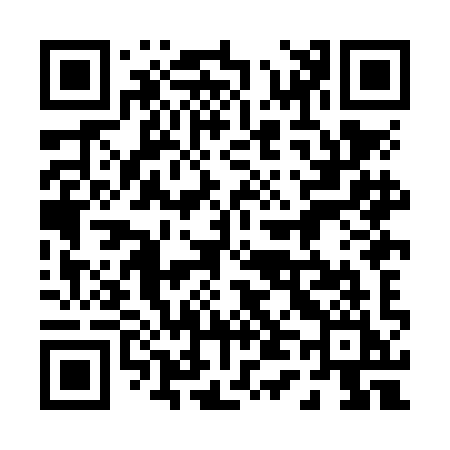QR code for 048NII