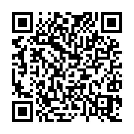 QR code for 063IIS