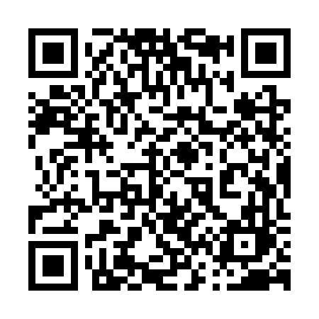 QR code for 069SVL