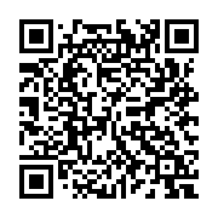 QR code for 095ISV