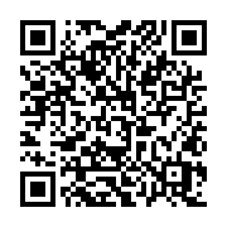 QR code for 101QLT