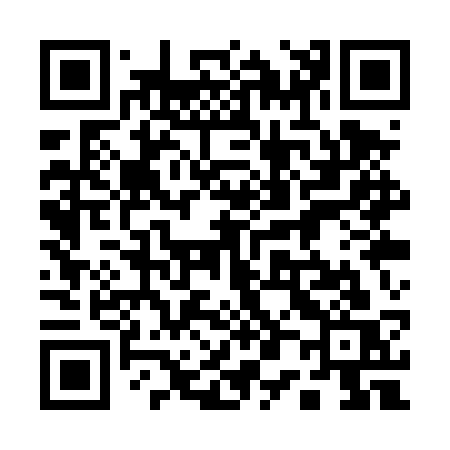 QR code for 101TSS