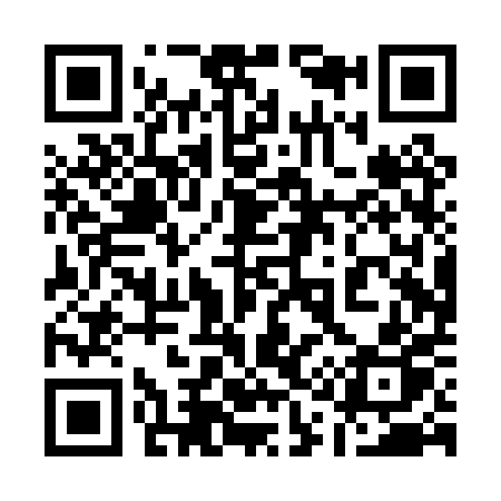 QR code for 110PPP