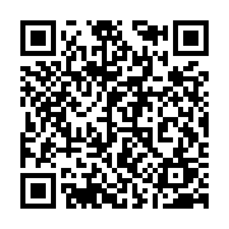 QR code for 113MST