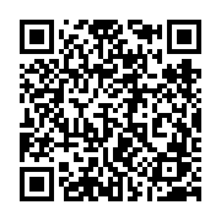 QR code for 113VFR