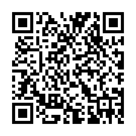 QR code for 118AIR