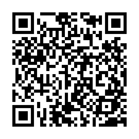 QR code for 119LMJ