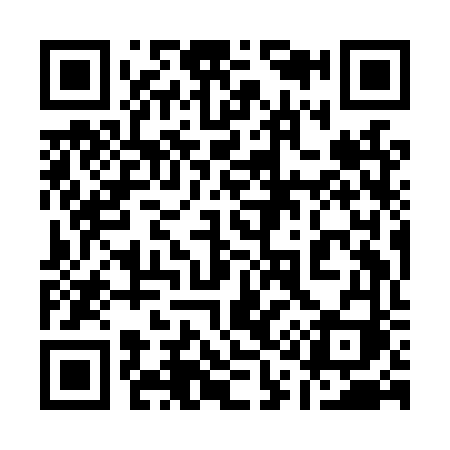QR code for 119LVI