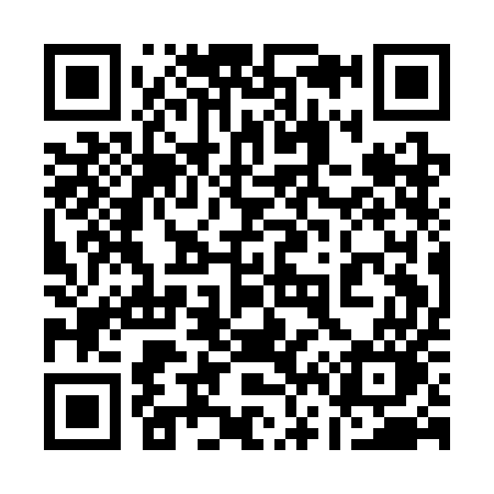 QR code for 161CEO