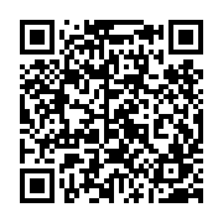 QR code for 161DIV