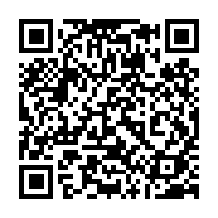 QR code for 161DYI